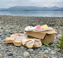 Load image into Gallery viewer, Picnic Box