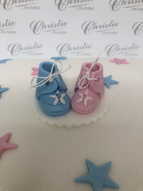 Gender Reveal Celebration Cake (8")